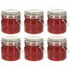 vidaXL Storage Jars with Clip Closure 6 pcs 500 ml