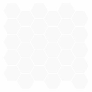 vidaXL Hexagon Tile 10 pcs White 30 x 30 cm Polyurethane and PET