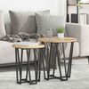 vidaXL Side Table Set 2 pcs Artisan Oak and Black