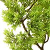 Product Thumbnail Image 4 of 7