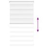 Product Thumbnail Image 5 of 16