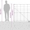 Product Thumbnail Image 14 of 14