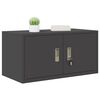vidaXL Storage Cabinet Black 80 x 40 x 40 cm Steel