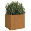 vidaXL Planter 49x47x46 cm Corten Steel