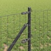 Product Thumbnail Image 4 of 17