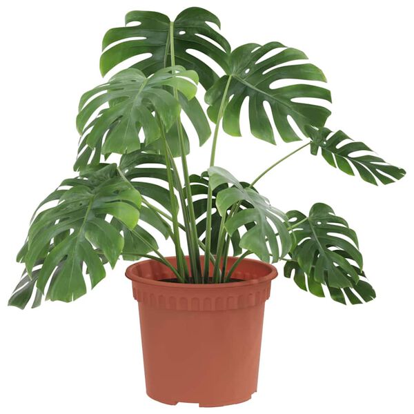 vidaXL Round Flower Pot 24 pcs Brick Red &Oslash; 12.5 x 10 cm Plastic