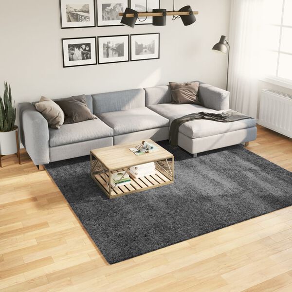 vidaXL Rug OVIEDO Short Pile Anthracite 240x240 cm