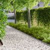 Product Thumbnail Image 2 of 11