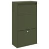 vidaXL Parcel Drop Box with Storage Olive Green 44 x 22 x 82 cm Steel