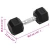 vidaXL Dumbbells 2 pcs 16 kg Total Cast Iron