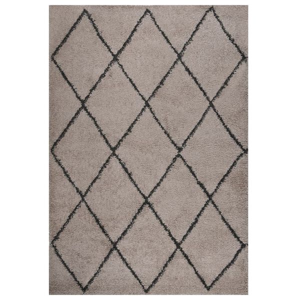 vidaXL Shaggy Rug High Pile Beige and Anthracite 160x230 cm