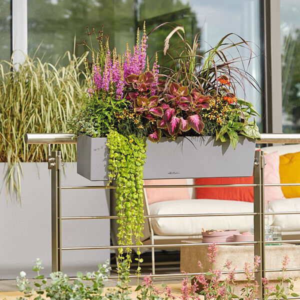 LECHUZA Planter BALCONERA Stone 80 ALL-IN-ONE Grey