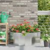 Product Thumbnail Image 2 of 12