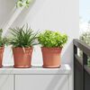 Product Thumbnail Image 2 of 12