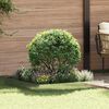 Product Thumbnail Image 2 of 8