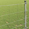 vidaXL Wild Fence Hot Dip Galvanized 1000 x 100 x 0.18 cm Iron