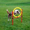 Kerbl Dog Agility Training Set Red 80758