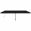 vidaXL Freestanding Manual Retractable Awning 600x300 cm Anthracite