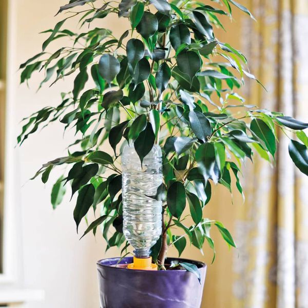 Hozelock 4 piece Watering Cones Aquasolo Large