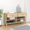 vidaXL Shoe Cabinet Sonoma Oak 102x35x55 cm Engineered Wood
