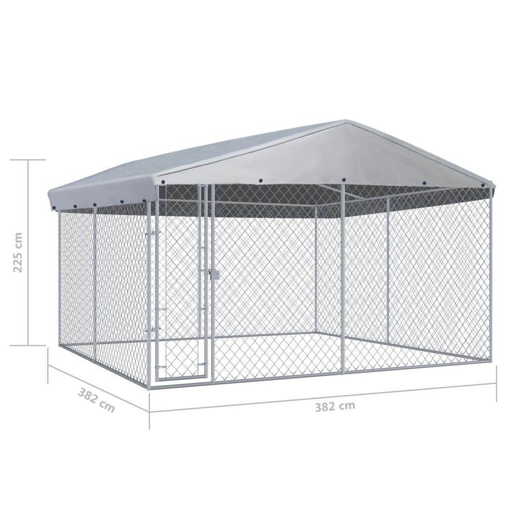 Large outdoor dog kennel and run 2025