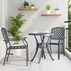 vidaXL Garden Chair 2 pcs Anthracite 56 x 65 x 89 cm Steel