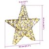 vidaXL 3D Star with 50 LEDs Warm white 55 x 52.5 x 9 cm Rattan
