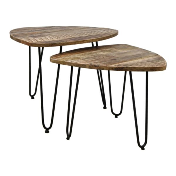 HSM Collection 2 Piece Coffee Table Set Dexter