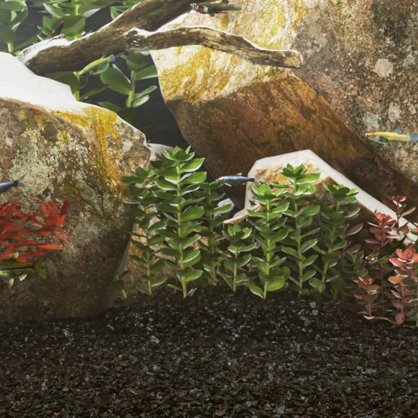 vidaXL Aquarium Sand 10 kg Black 0.2-2 mm