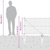 Product Thumbnail Image 17 of 17