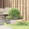 Product Thumbnail Image 4 of 11