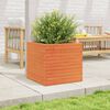 vidaXL Garden Planter Wax Brown 50x50x46 cm Solid Wood Pine
