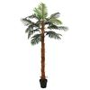 Product Thumbnail Image 3 of 6