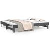 vidaXL Pull-out Day Bed without Mattress Grey 2x(80x200) cm