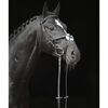 Covalliero Bridle Cancun Pony Black