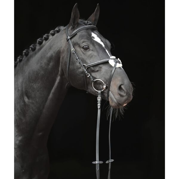Covalliero Bridle Cancun Pony Black