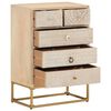 vidaXL Chest of Drawers 55x30x76 cm Solid Wood Mango and Iron
