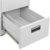 vidaXL Filing Cabinet Light Grey 46x62x164 cm Steel
