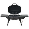 Product Thumbnail Image 2 of 13