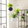 LECHUZA Hanging Planter BOLA Color 23 ALL-IN-ONE Sand Brown