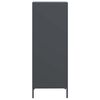 vidaXL Highboard Anthracite 35x39x103.5 cm Steel