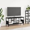 vidaXL TV Cabinet Black Oak 100 x 35 x 45 cm Engineered Wood and Iron