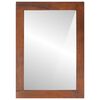 vidaXL Mirror Brown and silver 50 x 70 cm Solid Mango wood, glass