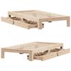 vidaXL Bed Frame without Mattress 100x200 cm Solid Wood Pine