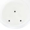 Product Thumbnail Image 5 of 6