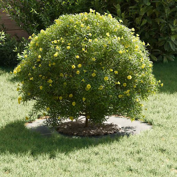 vidaXL suitable for Flat Tree Ring Silver Ø30 / 60 cm Galvanised steel