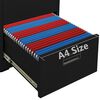 vidaXL Filing Cabinet Black 46x62x133 cm Steel