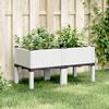 Product Thumbnail Image 2 of 7