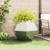 Product Thumbnail Image 2 of 10
