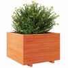 vidaXL Garden Planter Wax Brown 70x70x49.5 cm Solid Wood Pine